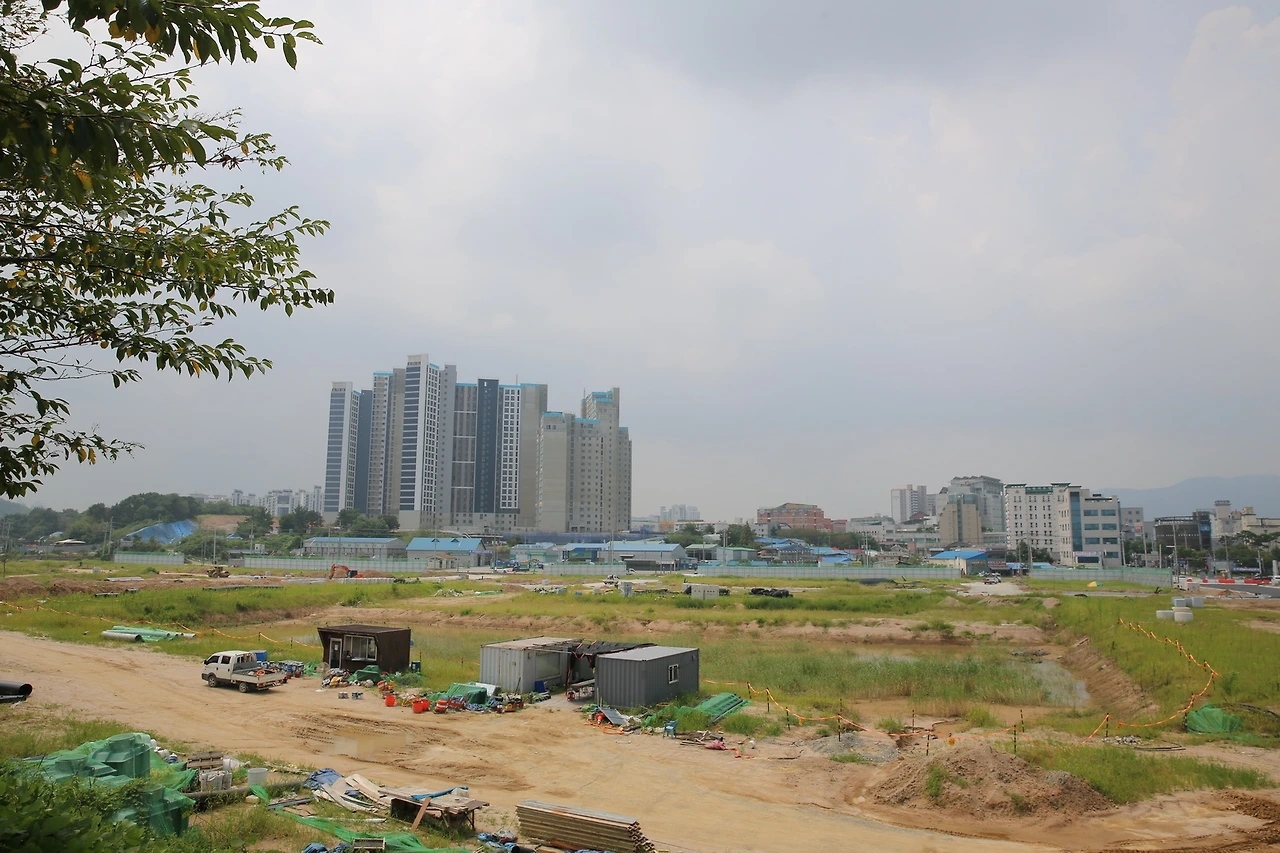 MG0A8979_новый размер.JPG