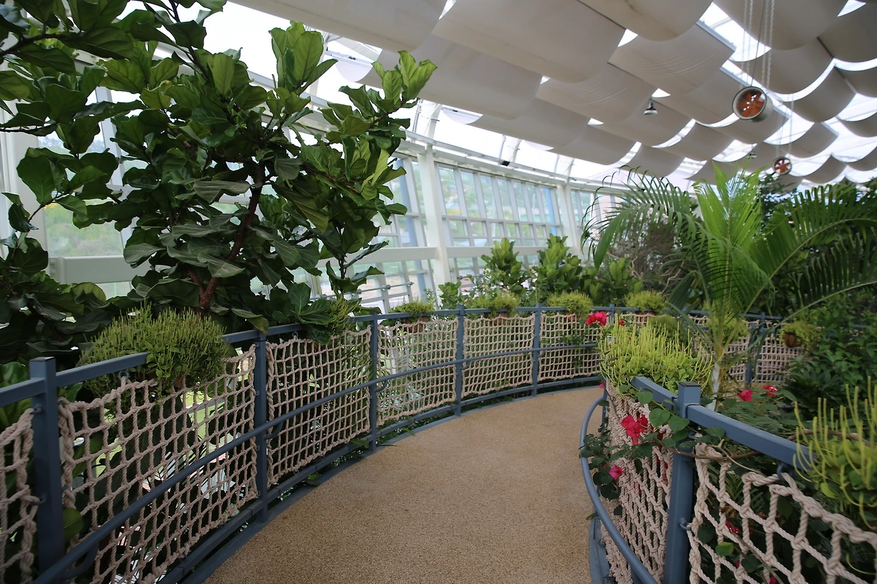 MG0A4082_новый размер.JPG