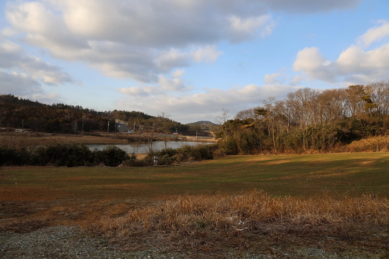 0R5A9928_новый размер.JPG