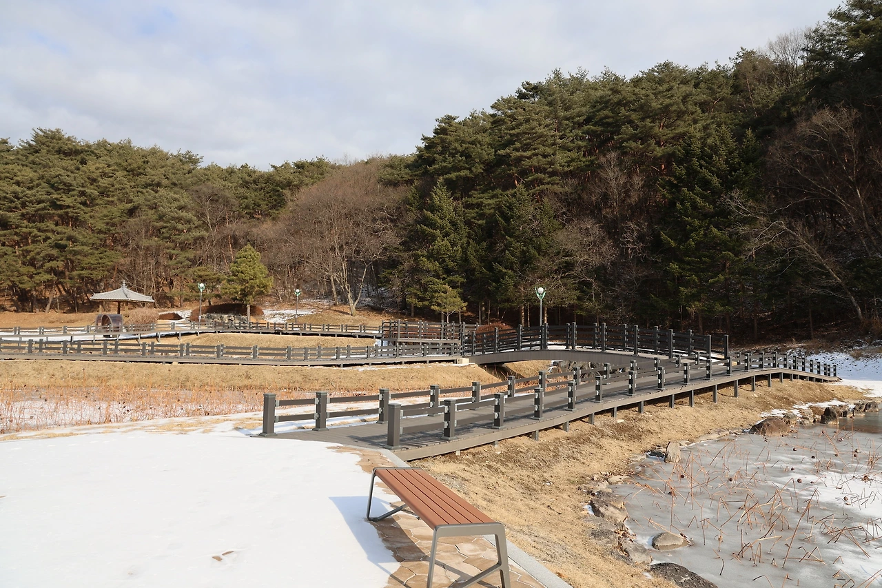 0R5A8163_новый размер.JPG