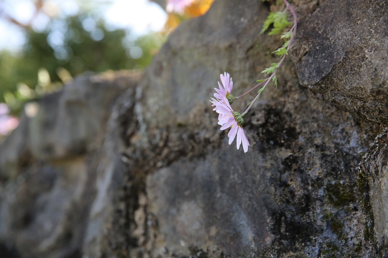 MG0A9124_новый размер.JPG