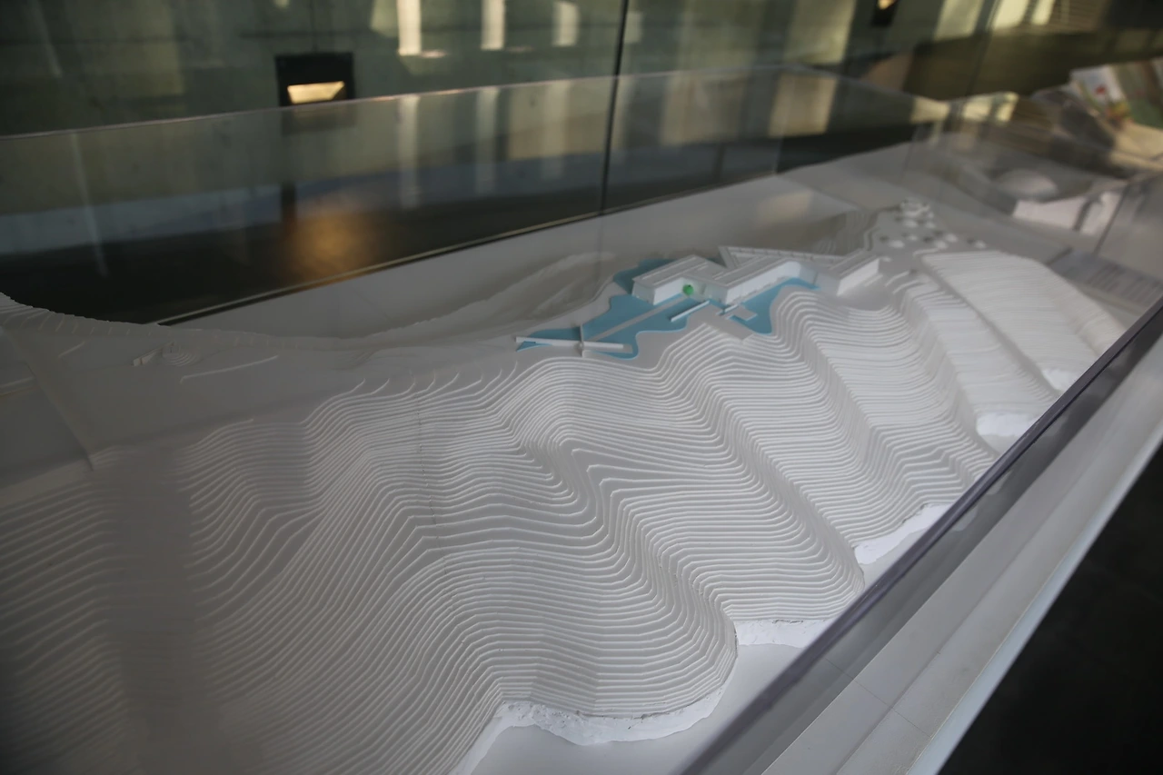 MG0A4411_новый размер.JPG