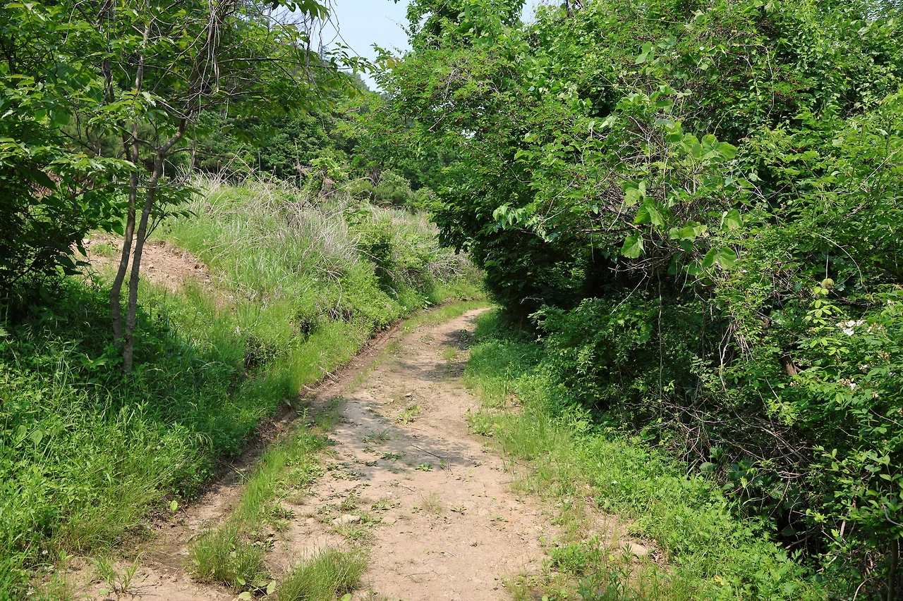 0R5A3219_новый размер.JPG