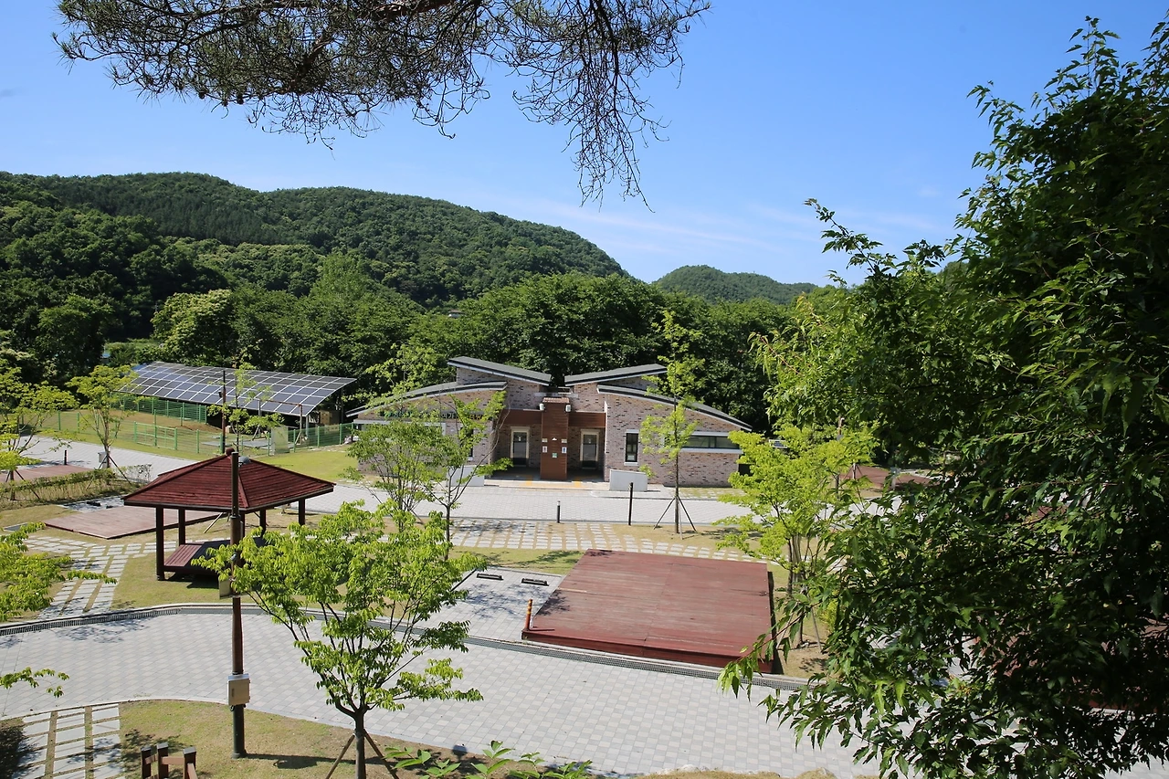 MG0A7940_новый размер.JPG