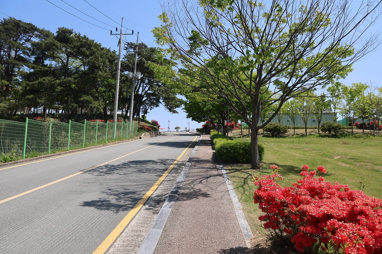 0R5A8639_новый размер.JPG