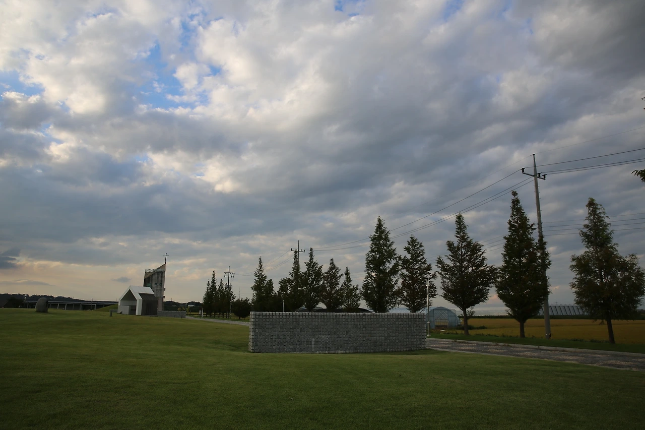 MG0A1872_новый размер.JPG