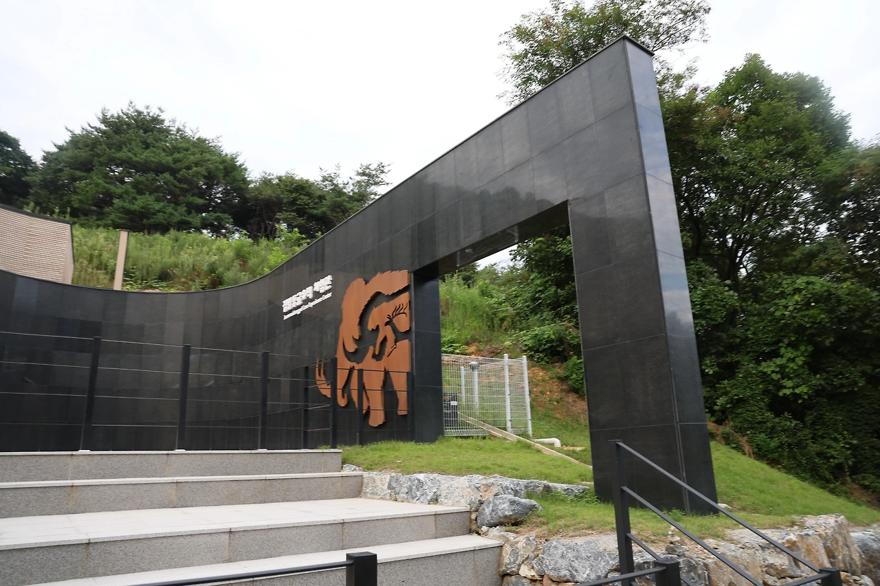 0R5A2811_новый размер.JPG