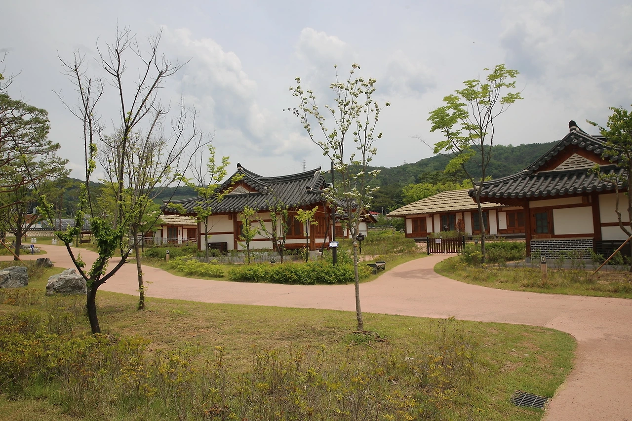 MG0A9610_новый размер.JPG