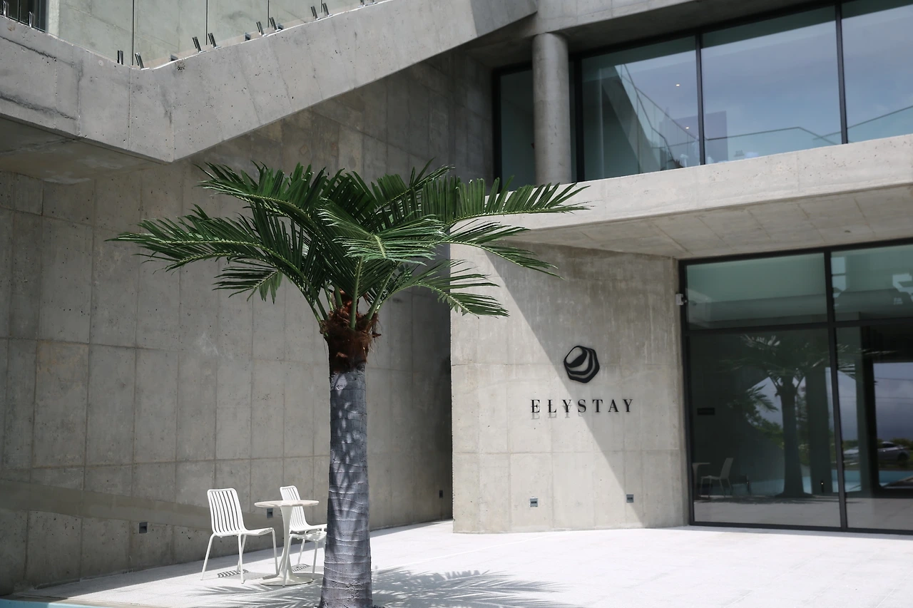 MG0A3609_новый размер.JPG