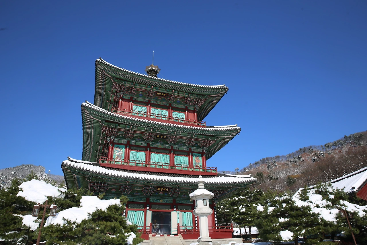 MG0A2336_новый размер.JPG