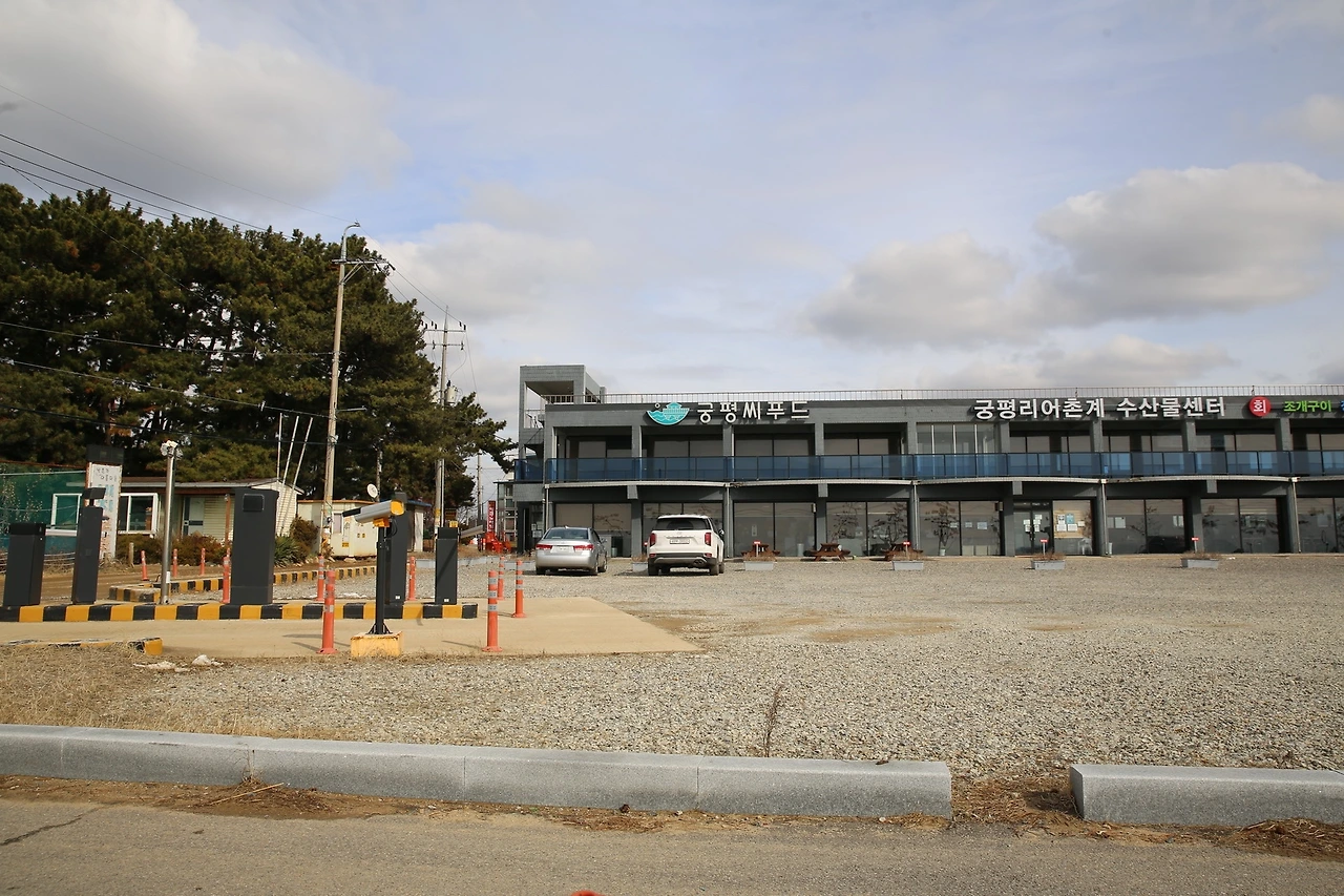 MG0A1257_новый размер.JPG