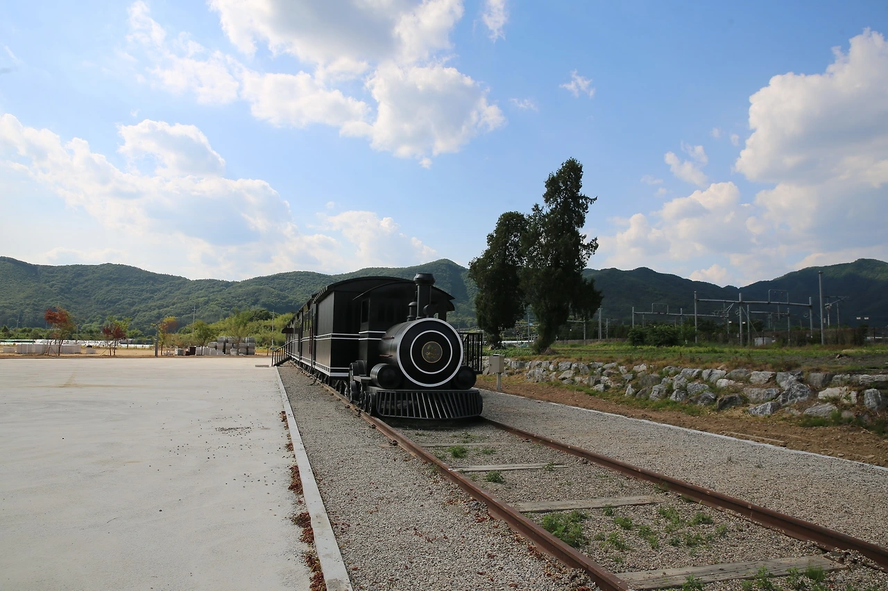 MG0A5447_новый размер.JPG