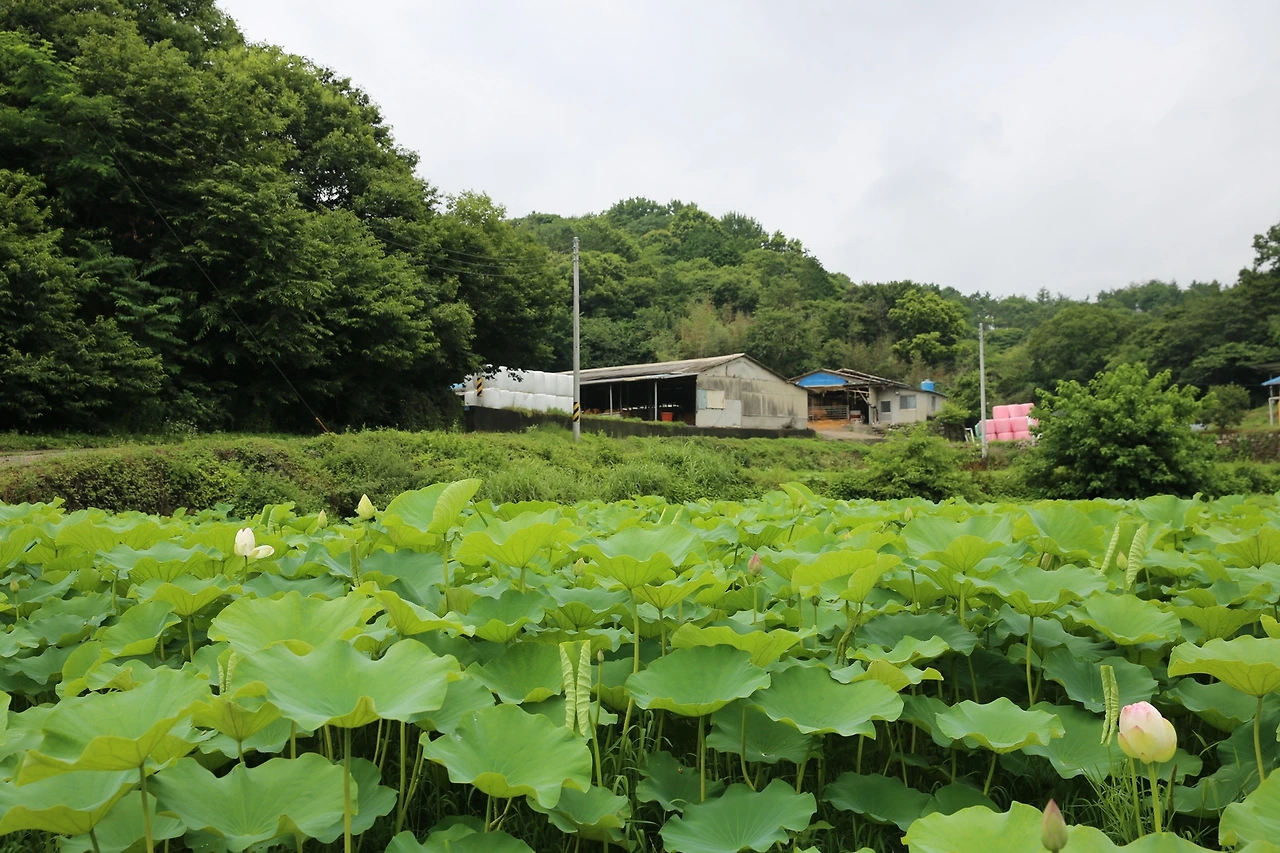 MG0A3675_новый размер.JPG