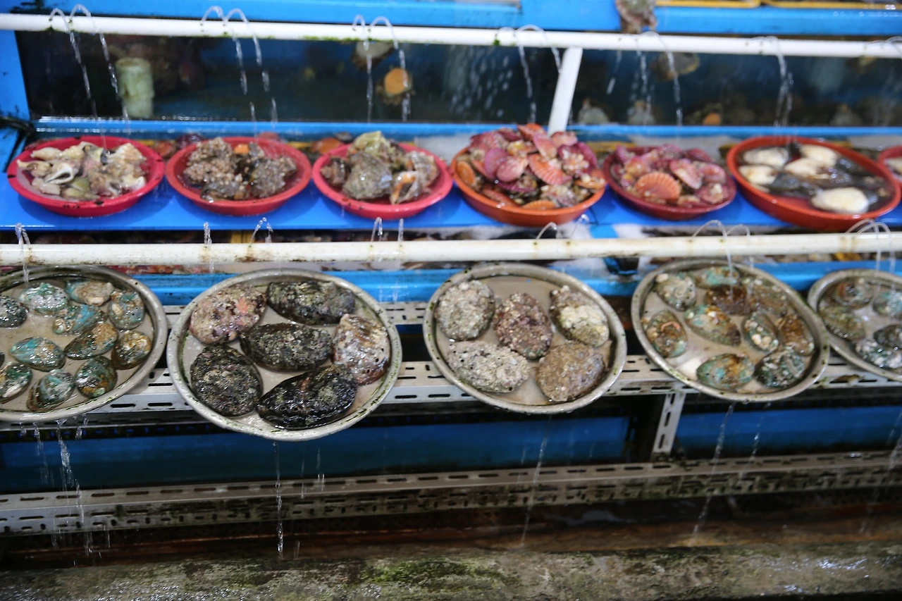 MG0A4513_новый размер.JPG