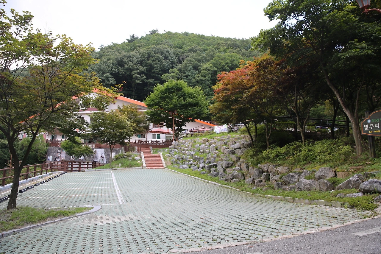 MG0A7901_новый размер.JPG