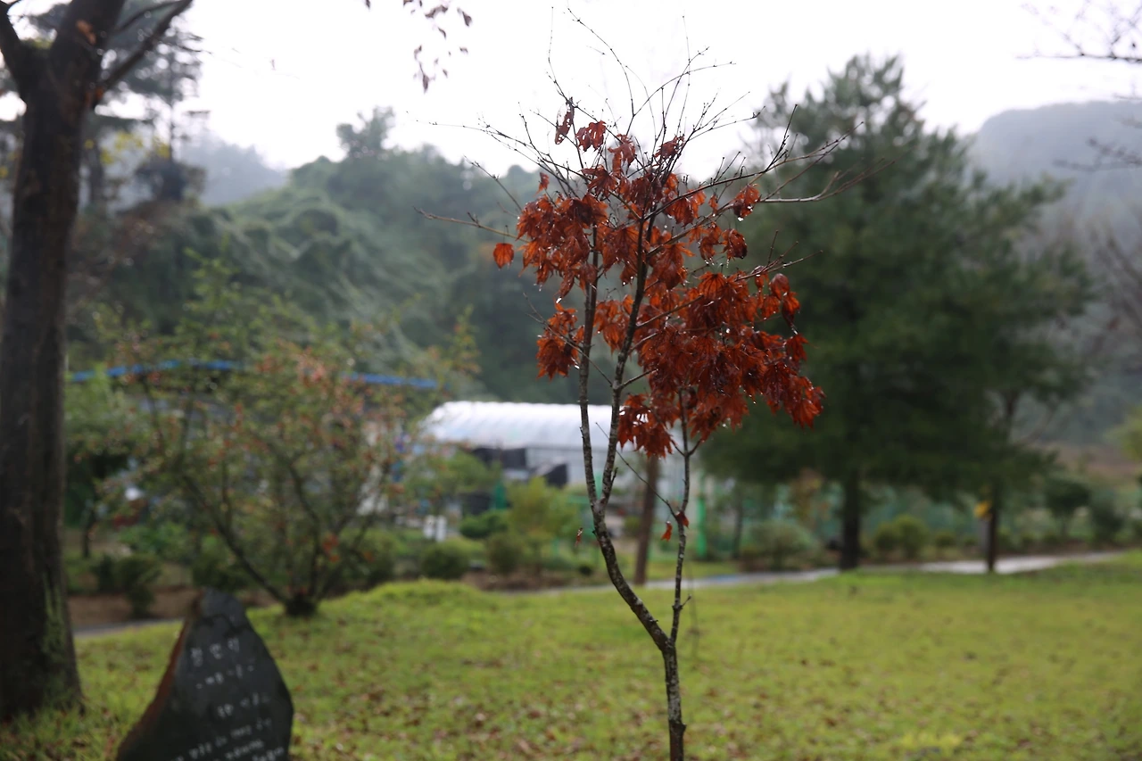 MG0A5565_новый размер.JPG