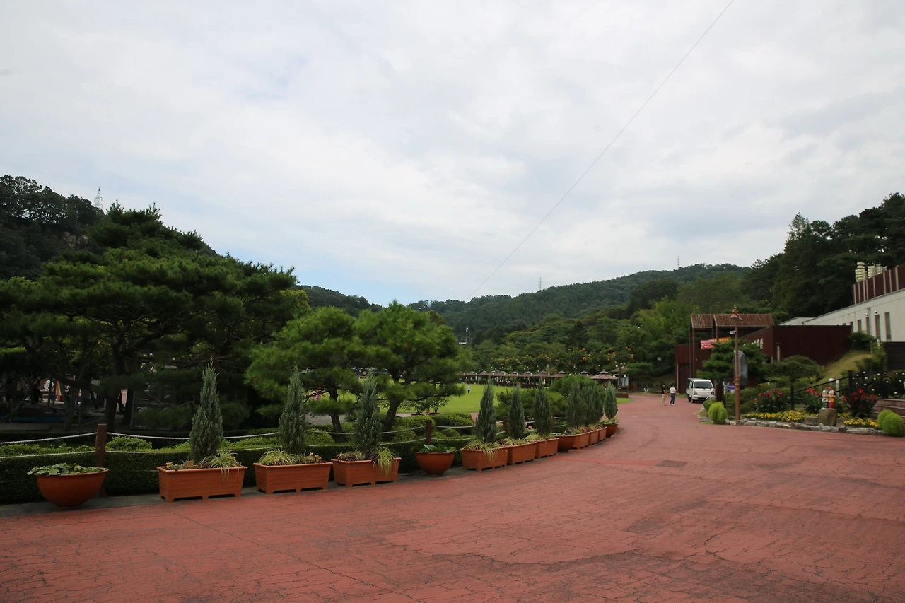 MG0A0049_новый размер.JPG