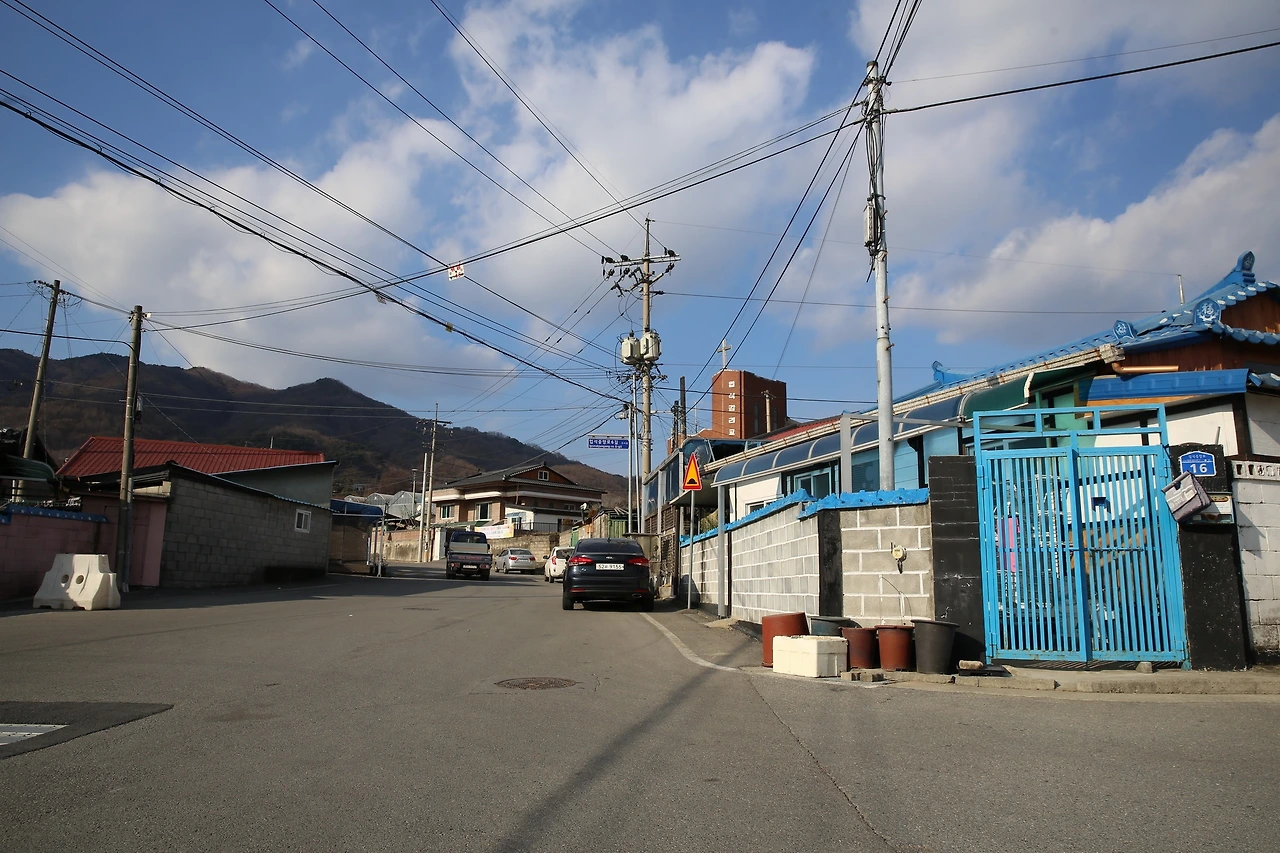 MG0A4915_новый размер.JPG