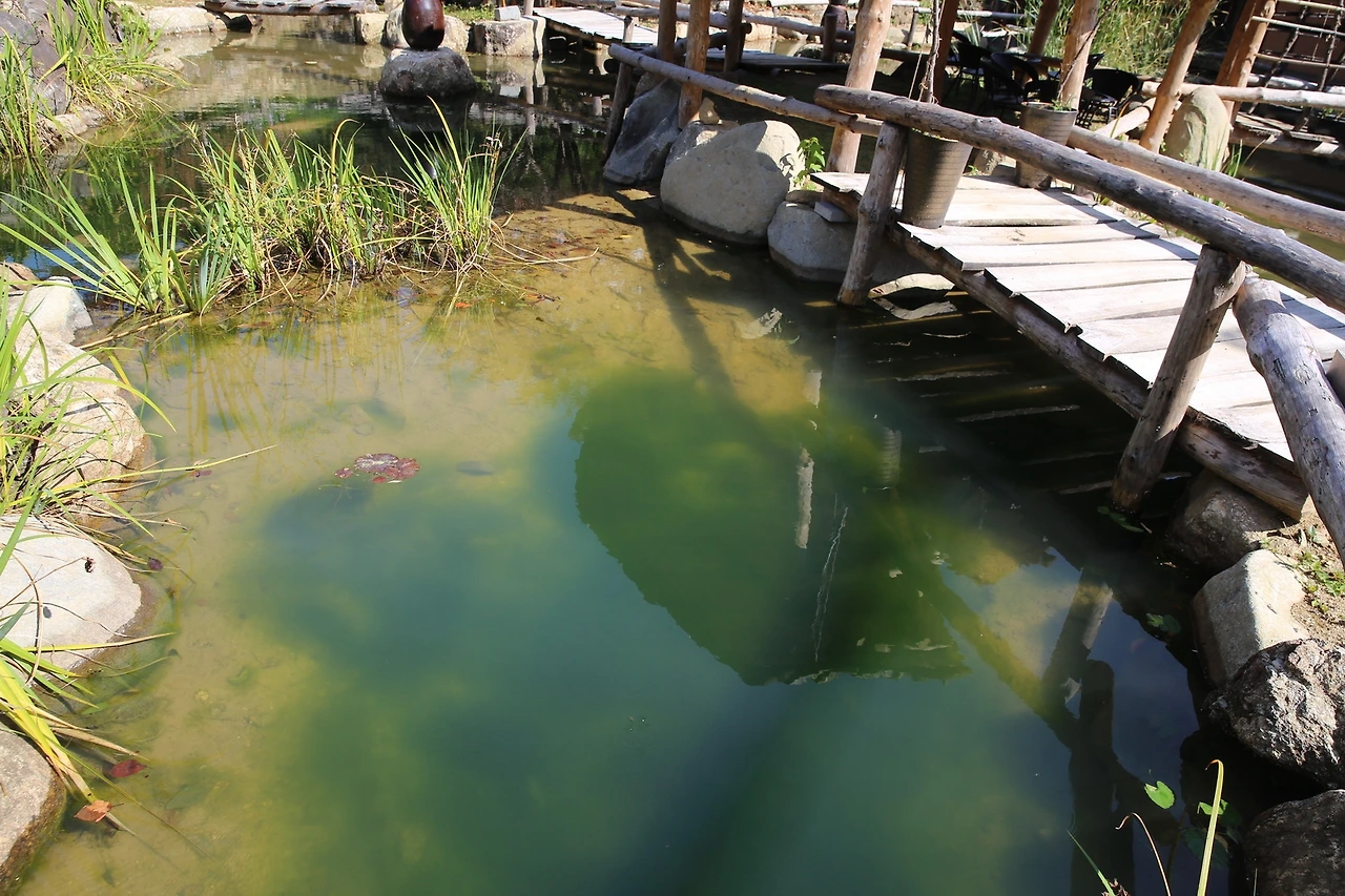 MG0A5720_новый размер.JPG