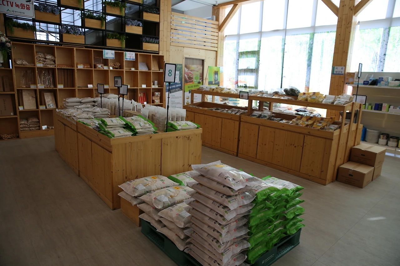 MG0A7068_новый размер.JPG