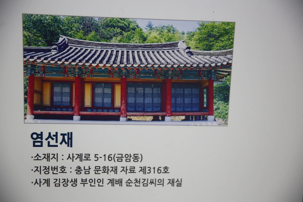 MG0A1485_новый размер.JPG