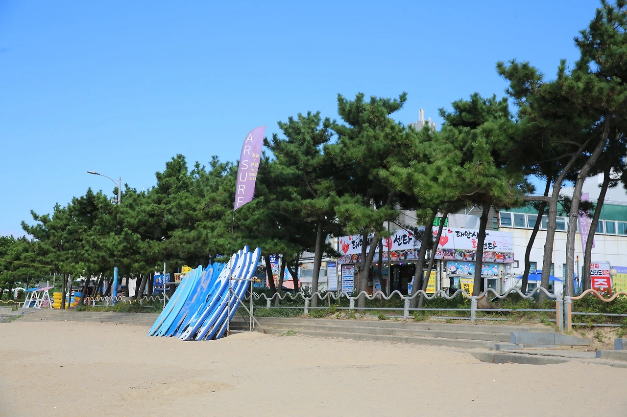 MG0A1303_новый размер.JPG