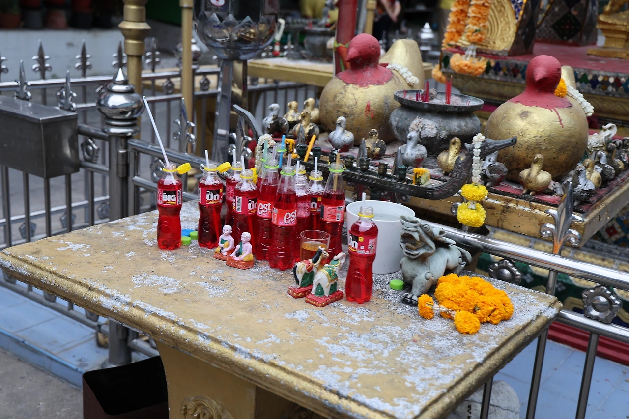 0R5A0391_новый размер.JPG