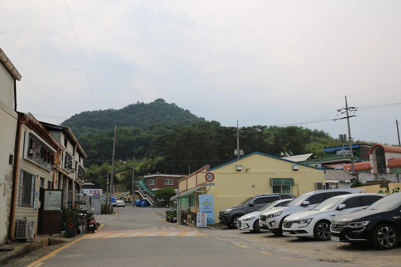 MG0A6982_новый размер.JPG