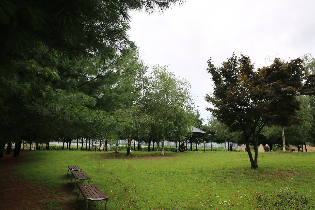 MG0A4746_новый размер.JPG