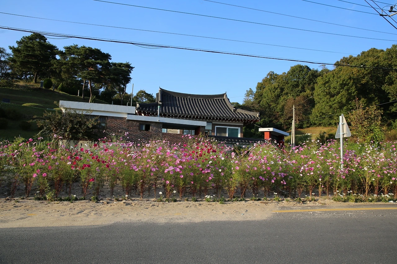 MG0A6662_новый размер.JPG