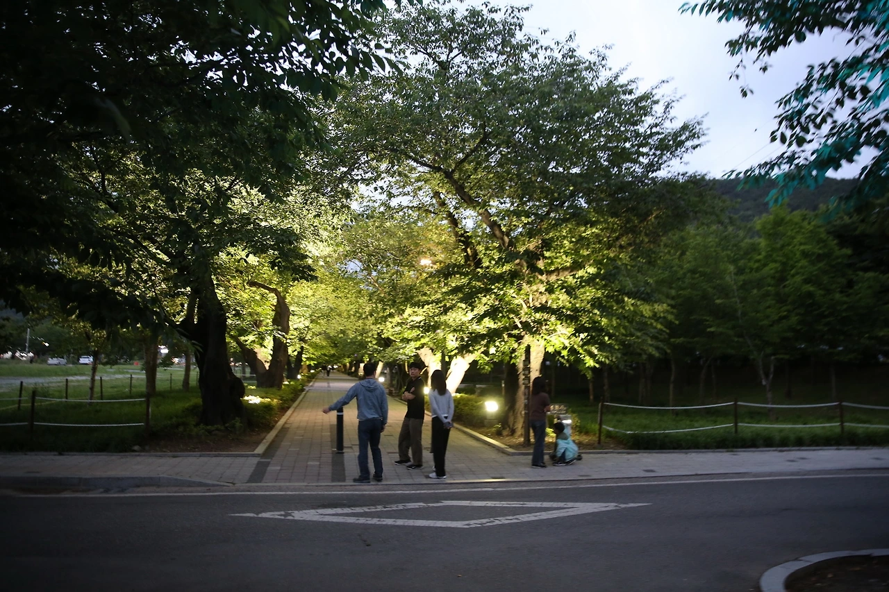 MG0A5595_новый размер.JPG