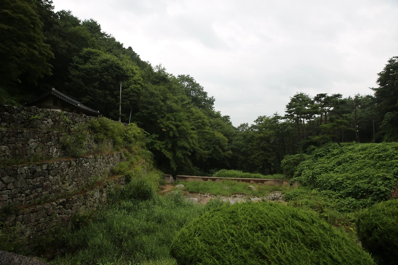 MG0A8487_новый размер.JPG