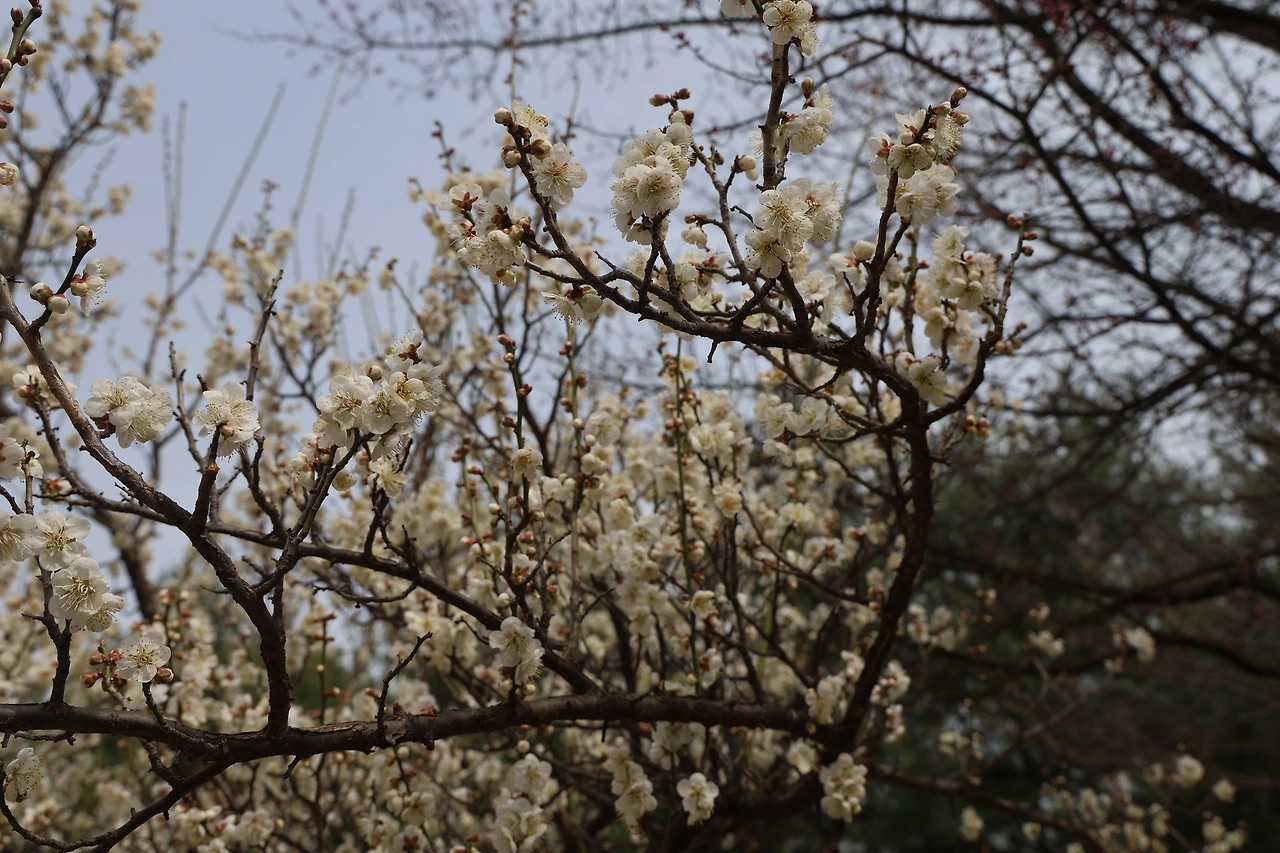 0R5A3964_новый размер.JPG