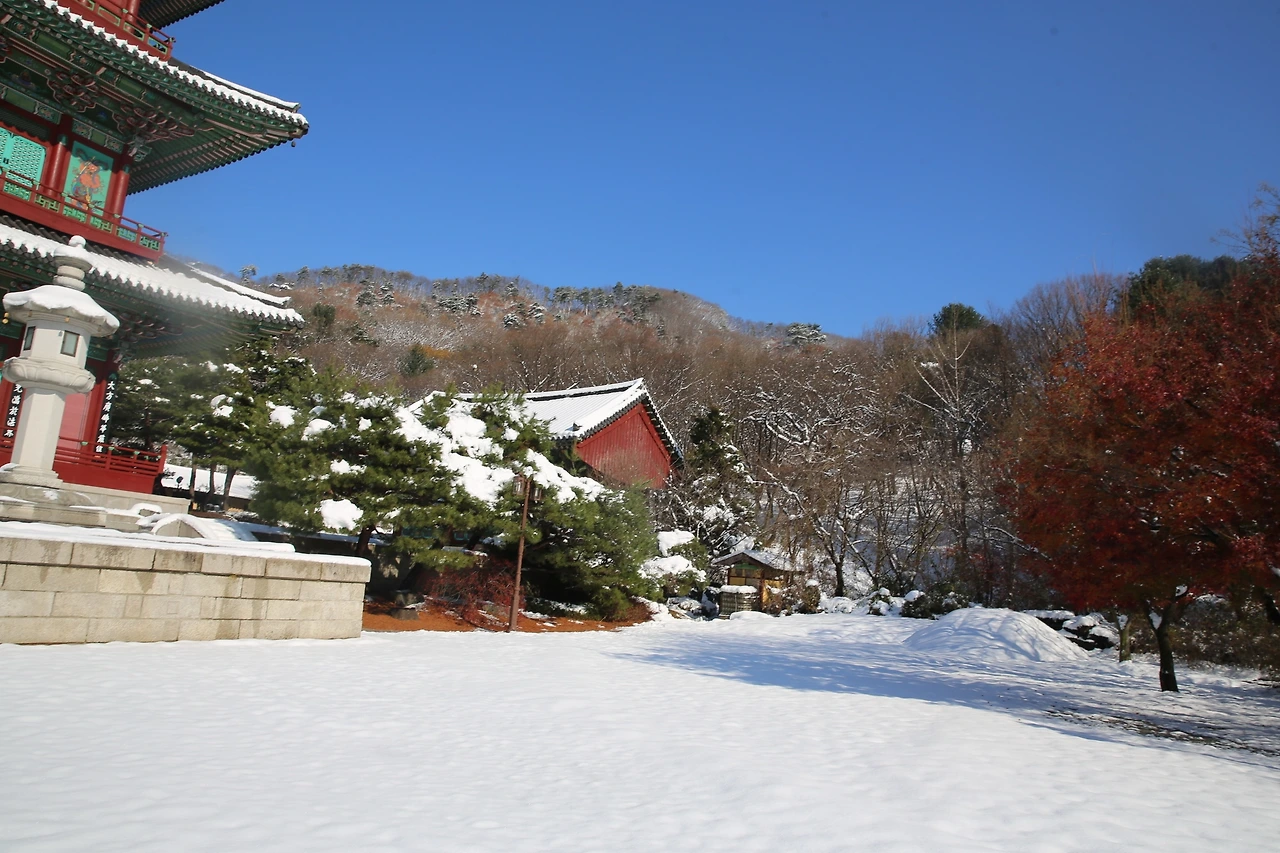 MG0A2338_новый размер.JPG