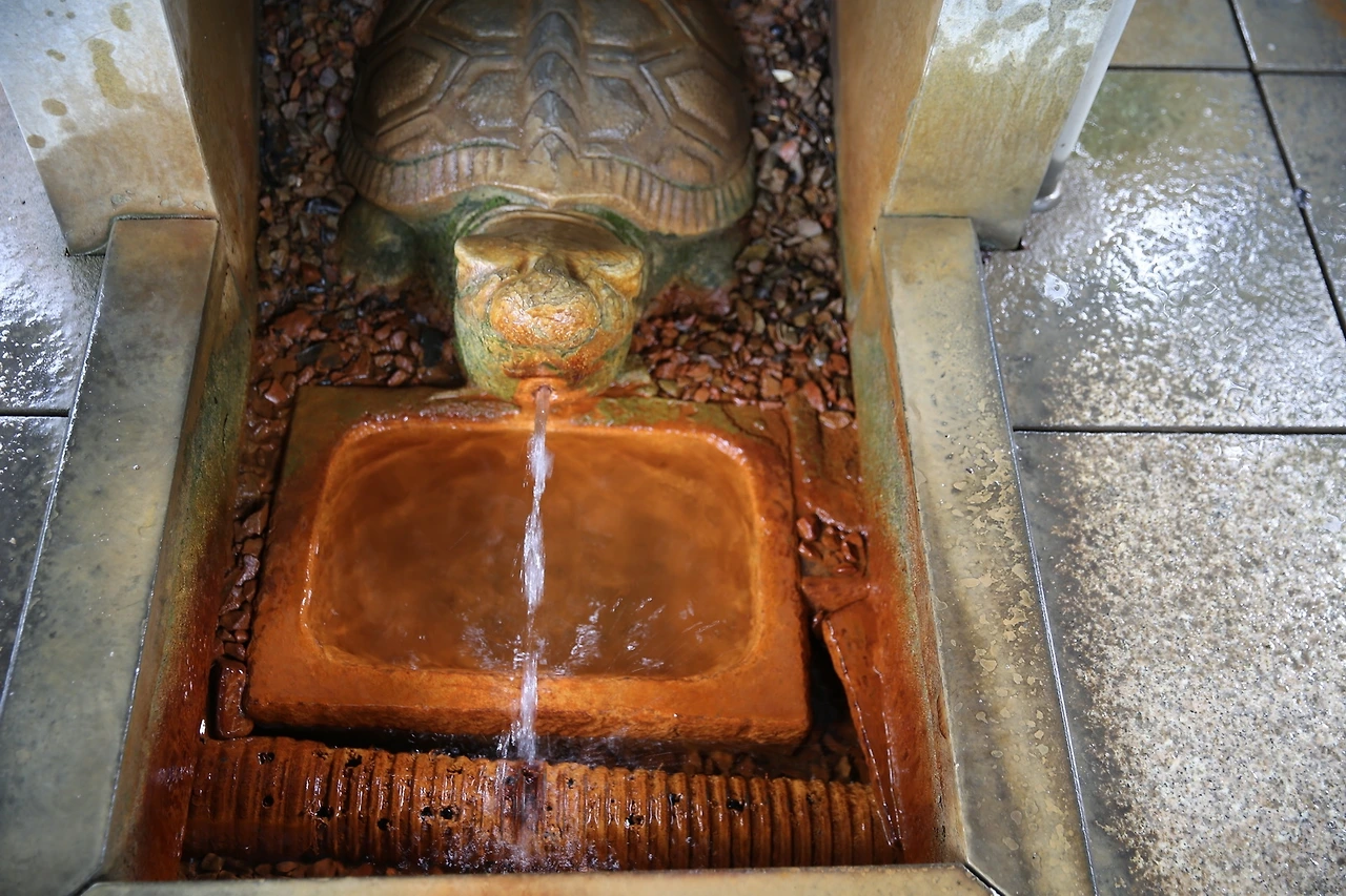 MG0A6528_новый размер.JPG