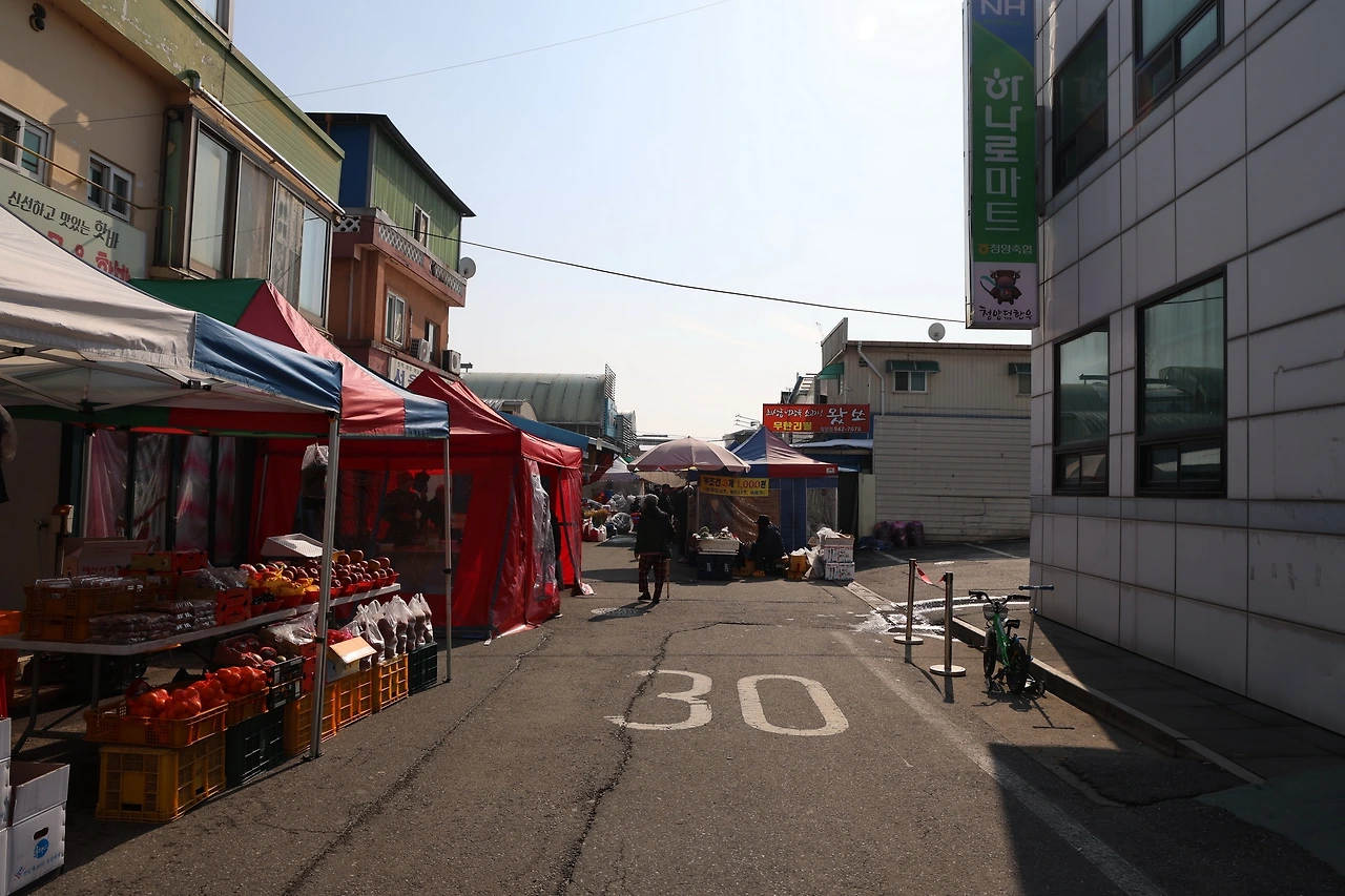 0R5A7558_новый размер.JPG