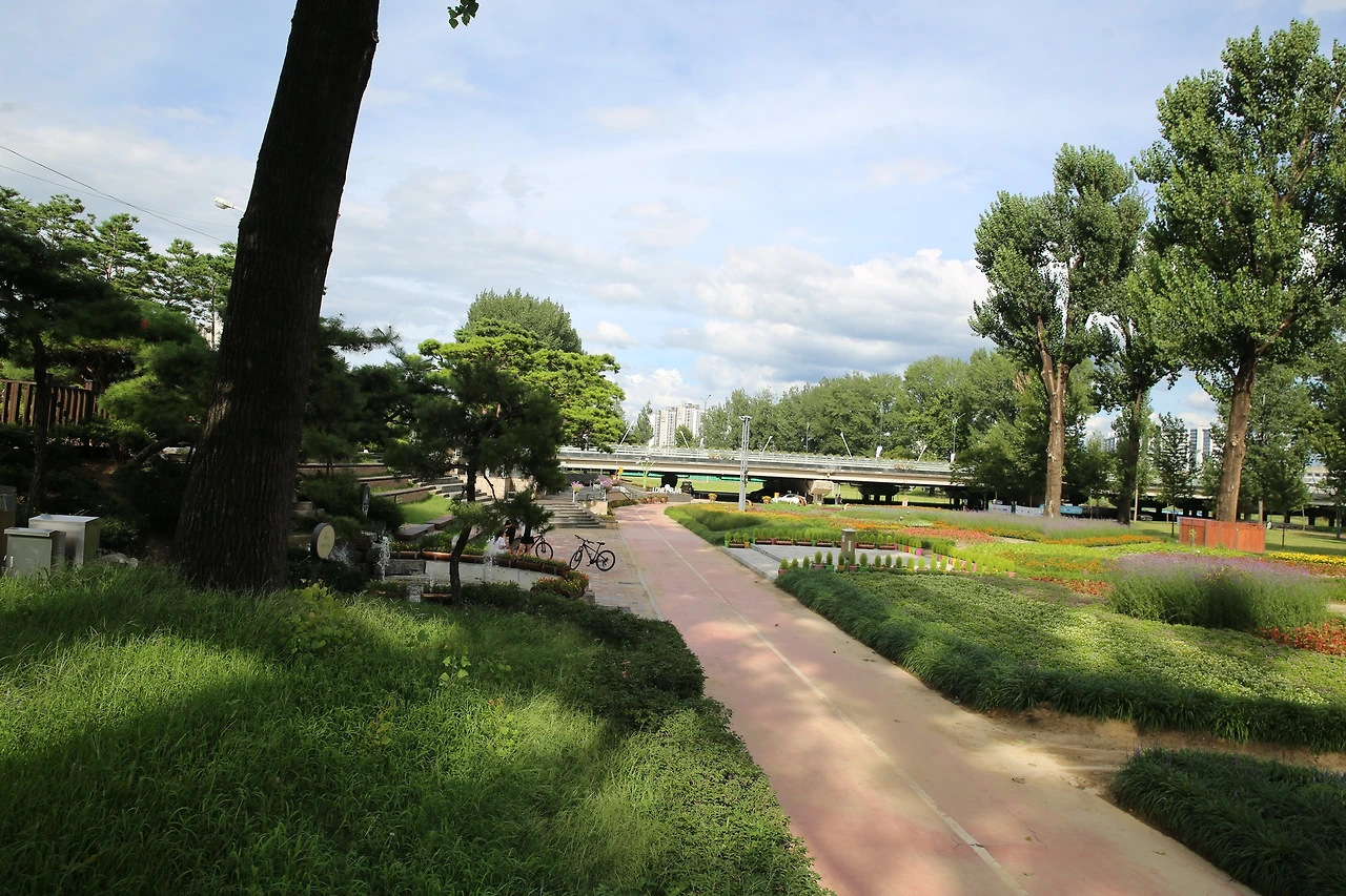 MG0A4474_новый размер.JPG