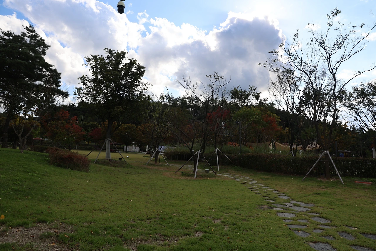 0R5A1173_новый размер.JPG