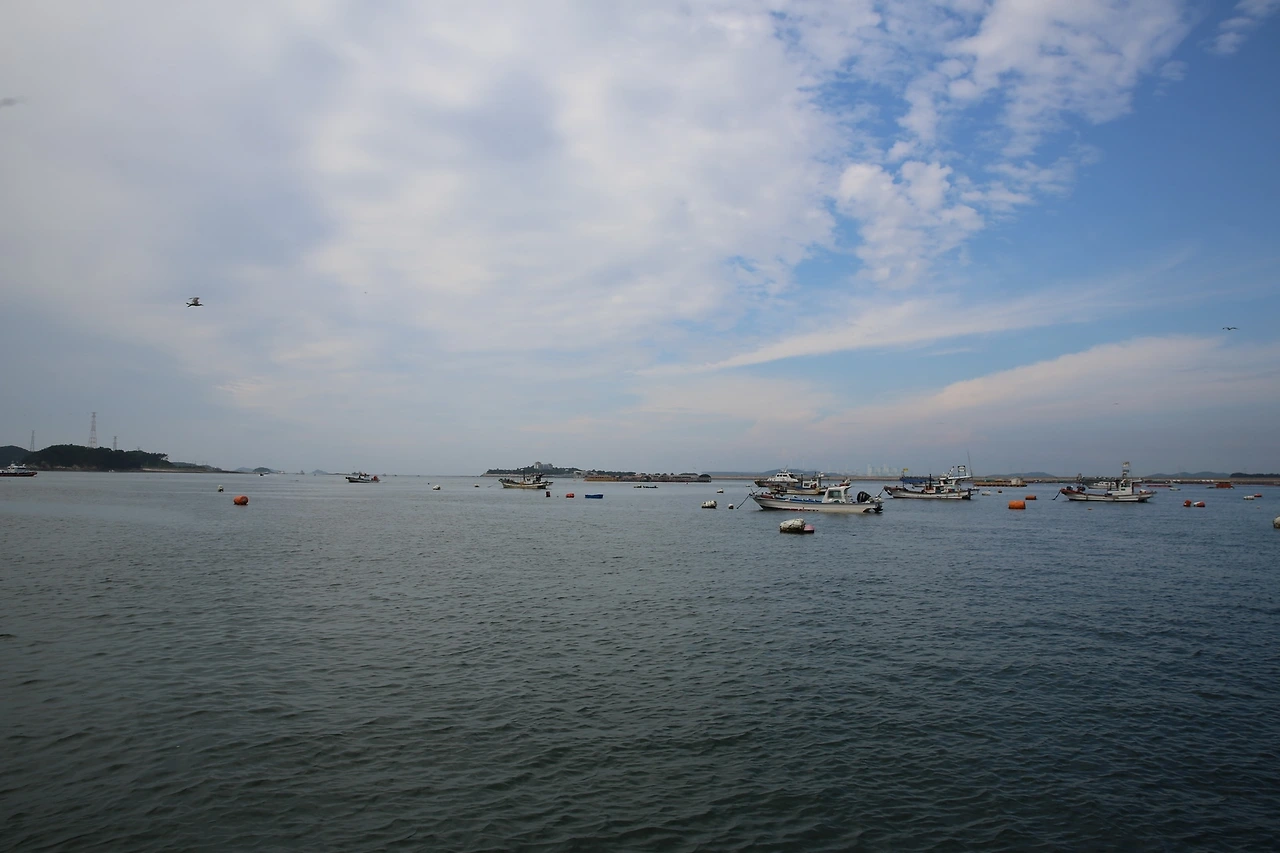 MG0A7064_новый размер.JPG