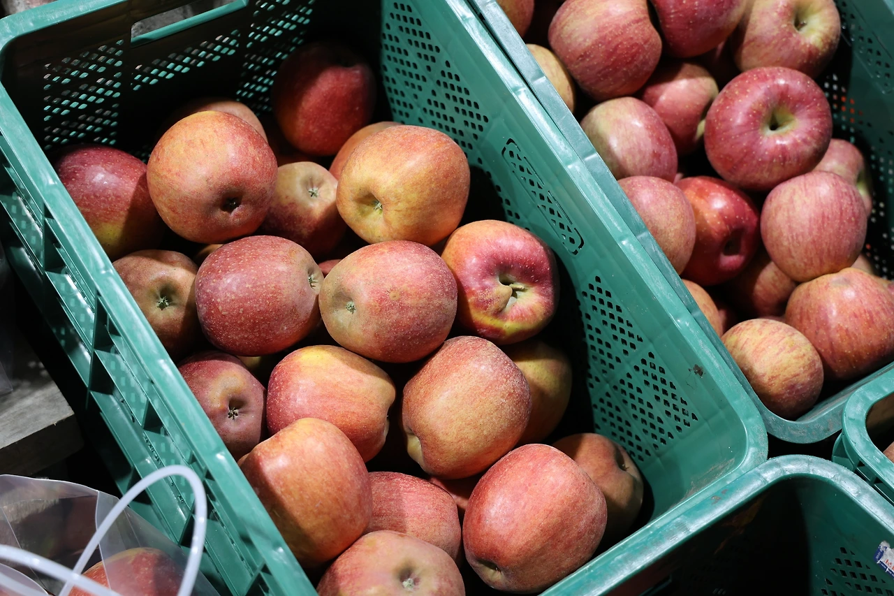 0R5A3713_новый размер.JPG