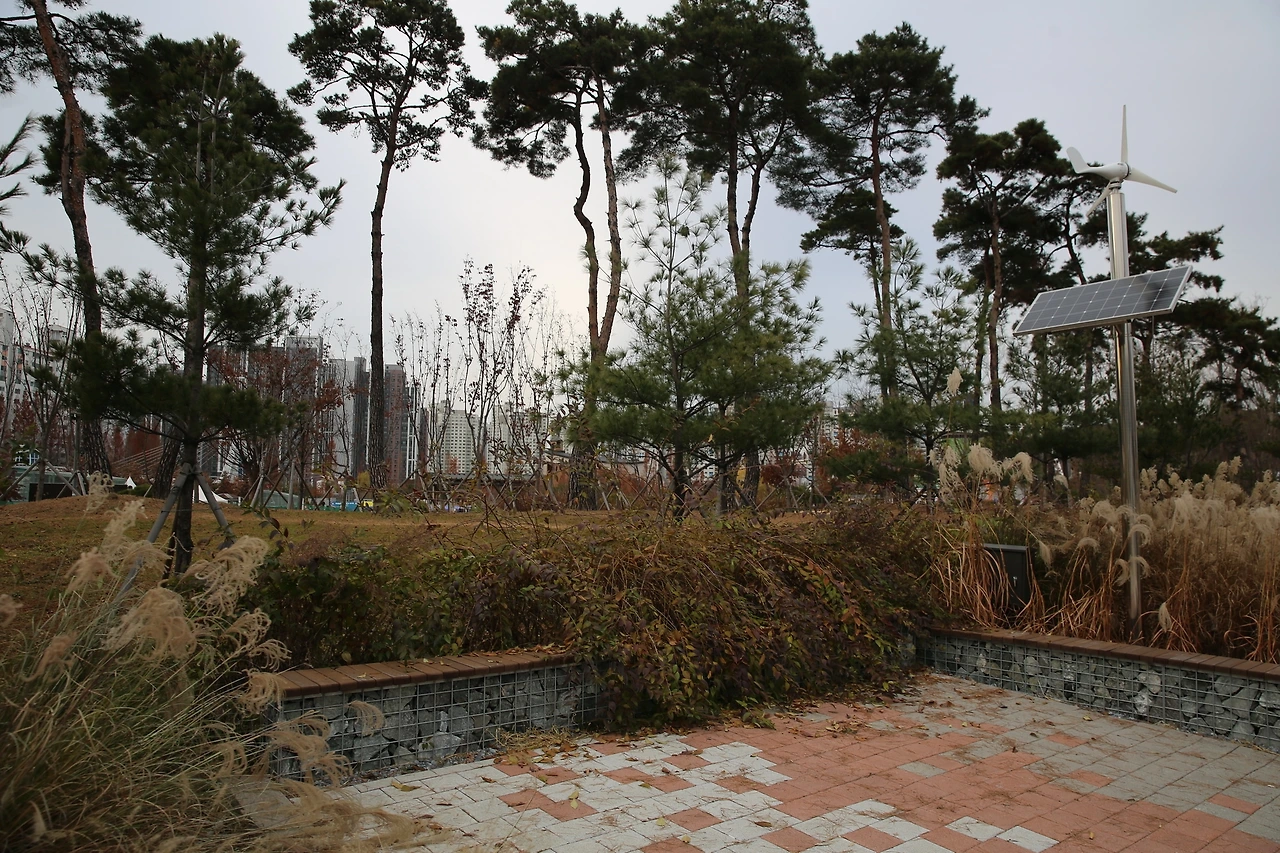 MG0A4465_новый размер.JPG