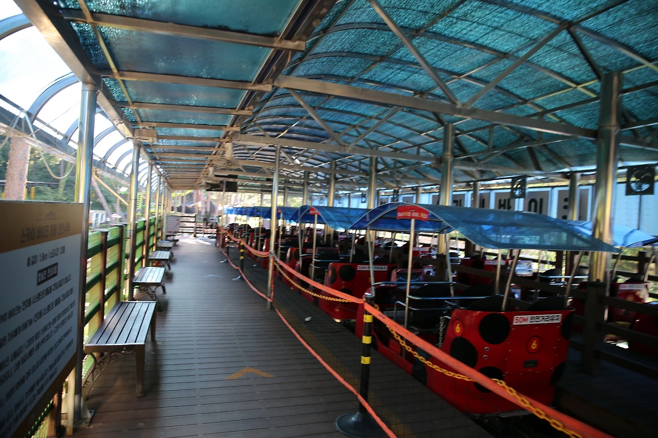 MG0A9118_новый размер.JPG