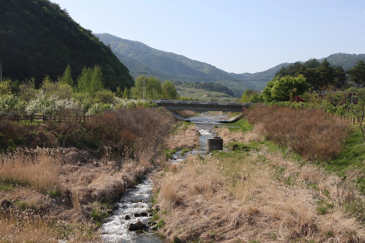 0R5A9742_новый размер.JPG