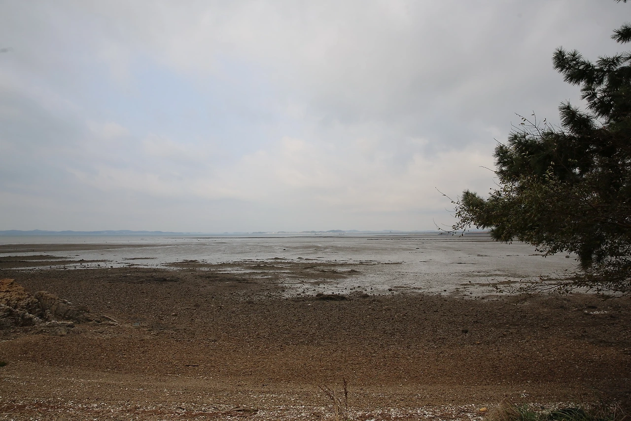 MG0A9349_новый размер.JPG