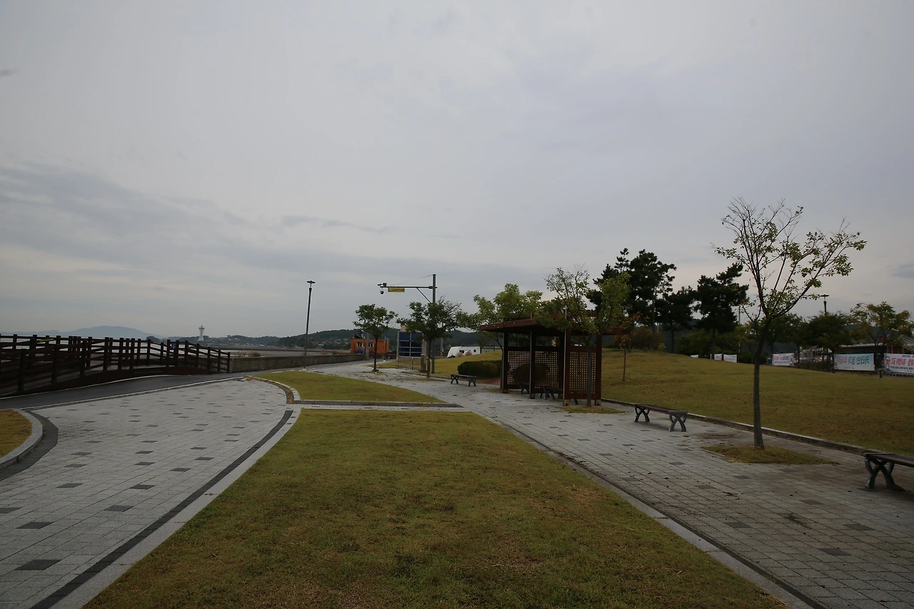 MG0A5082_новый размер.JPG