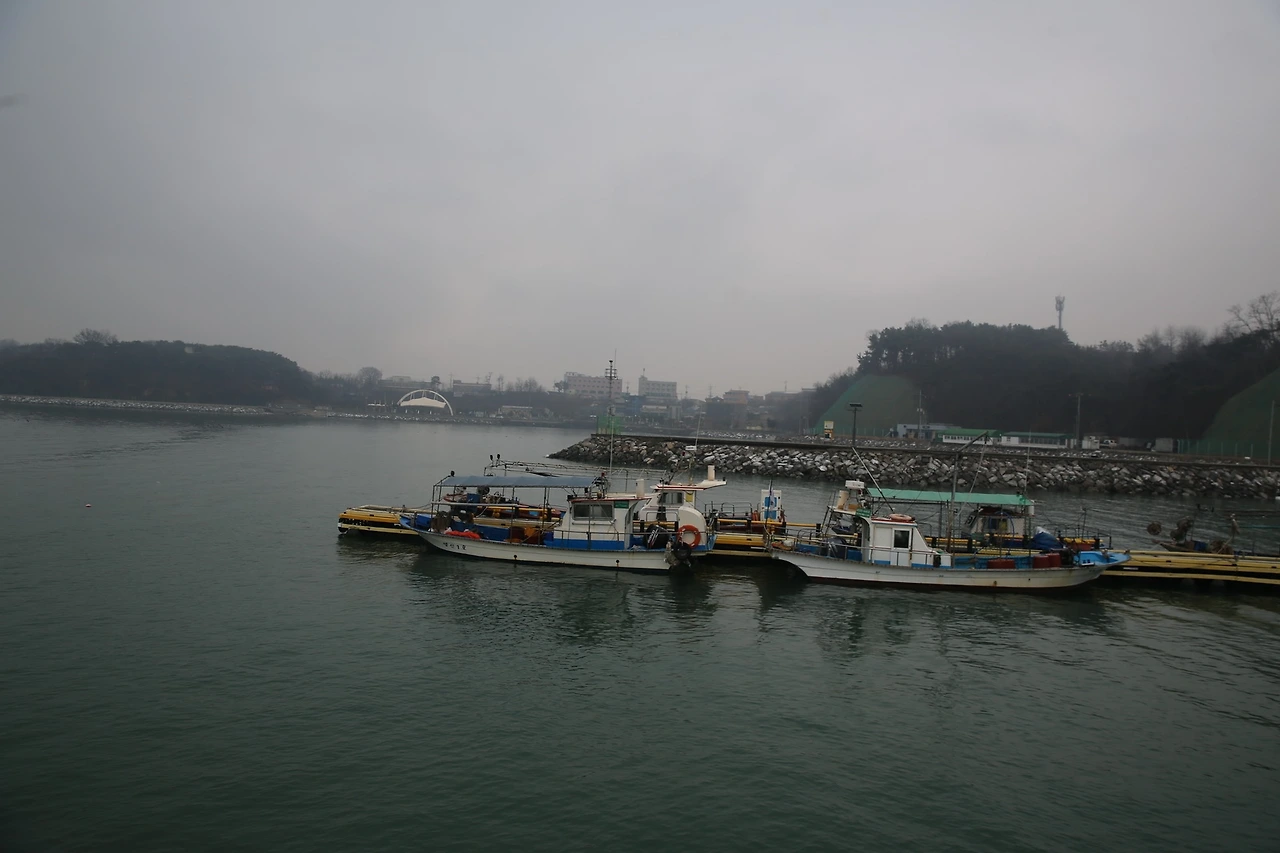 MG0A5838_новый размер.JPG