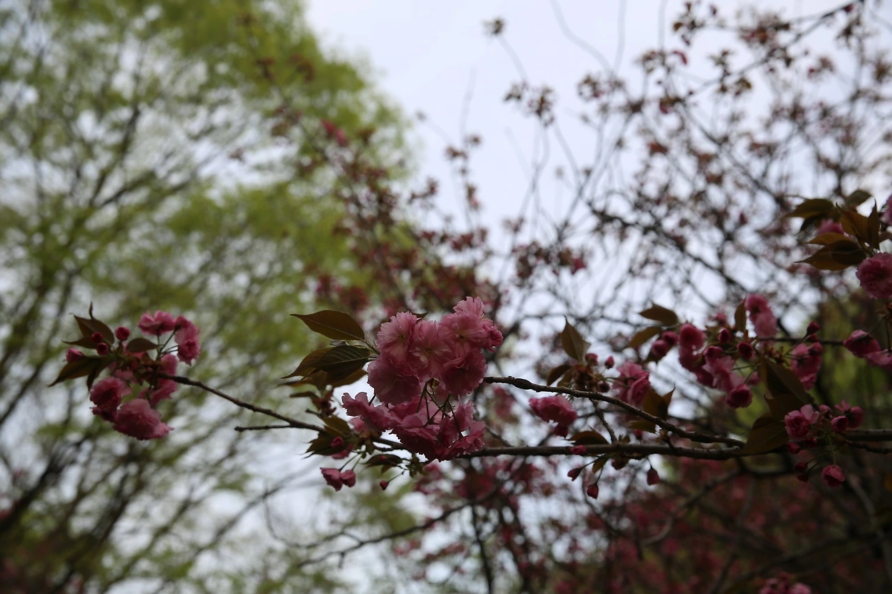 MG0A9530_новый размер.JPG