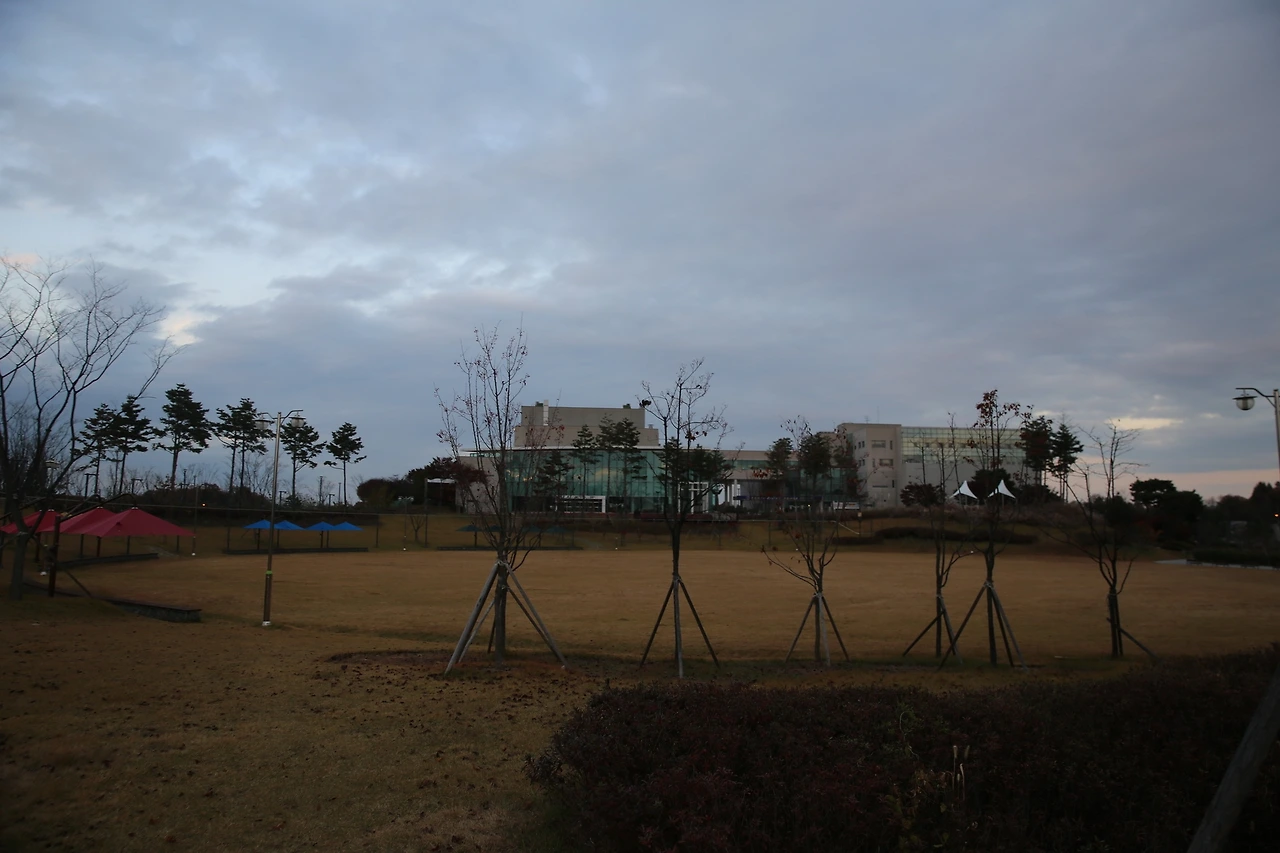 MG0A0989_новый размер.JPG