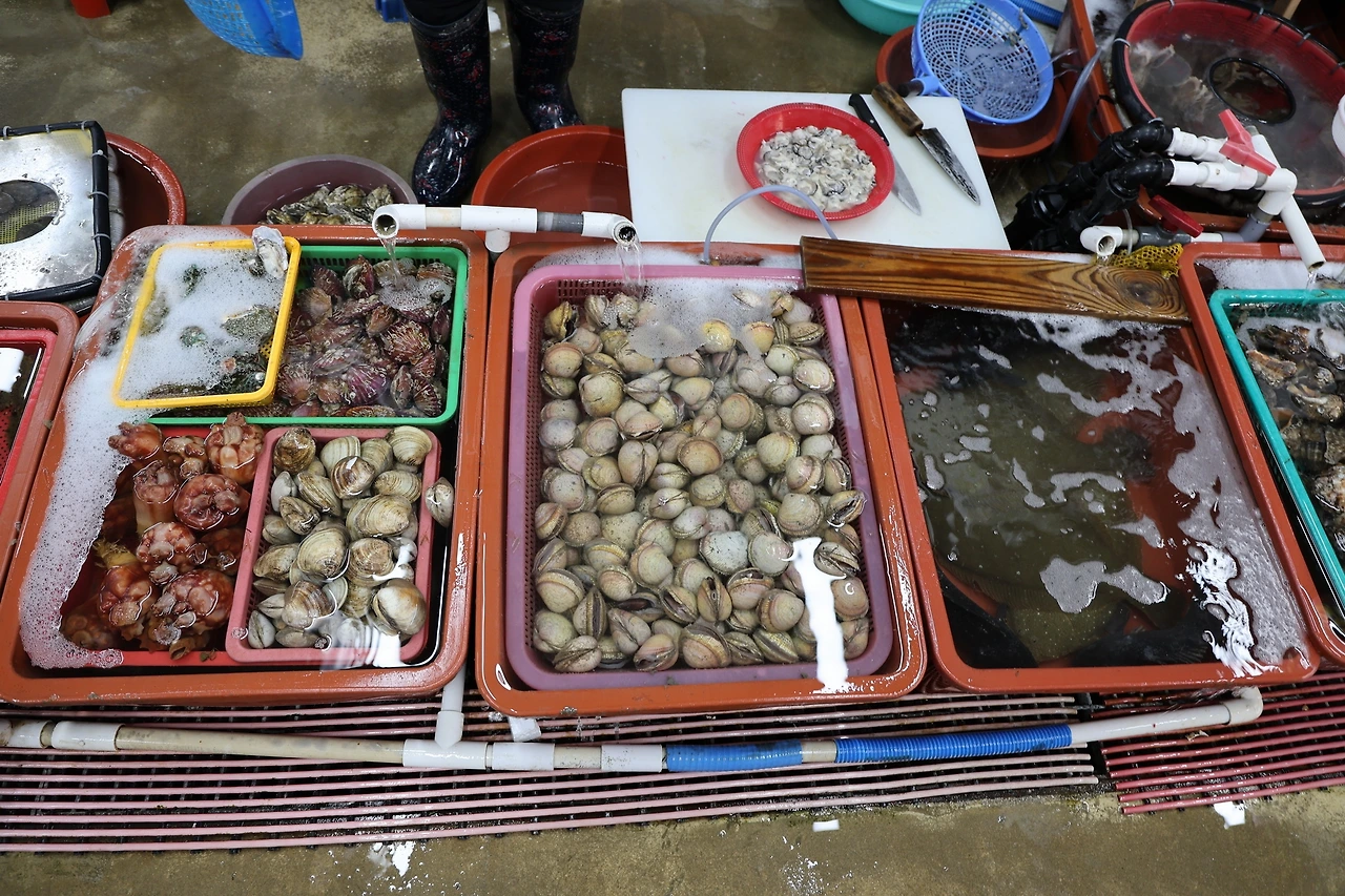 0R5A7744_новый размер.JPG