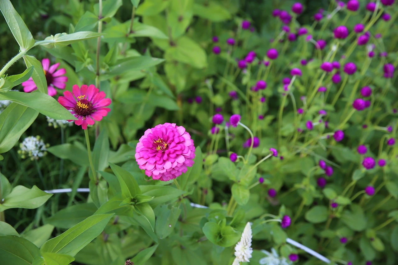 MG0A1246_новый размер.JPG